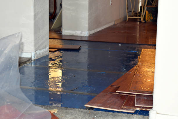 Professional Basement Flooding technician working in Island Park, NY